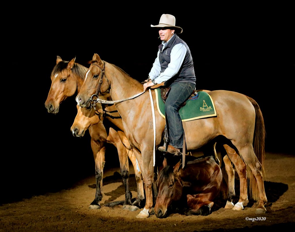 Guy McLean on one of his horses during a performance