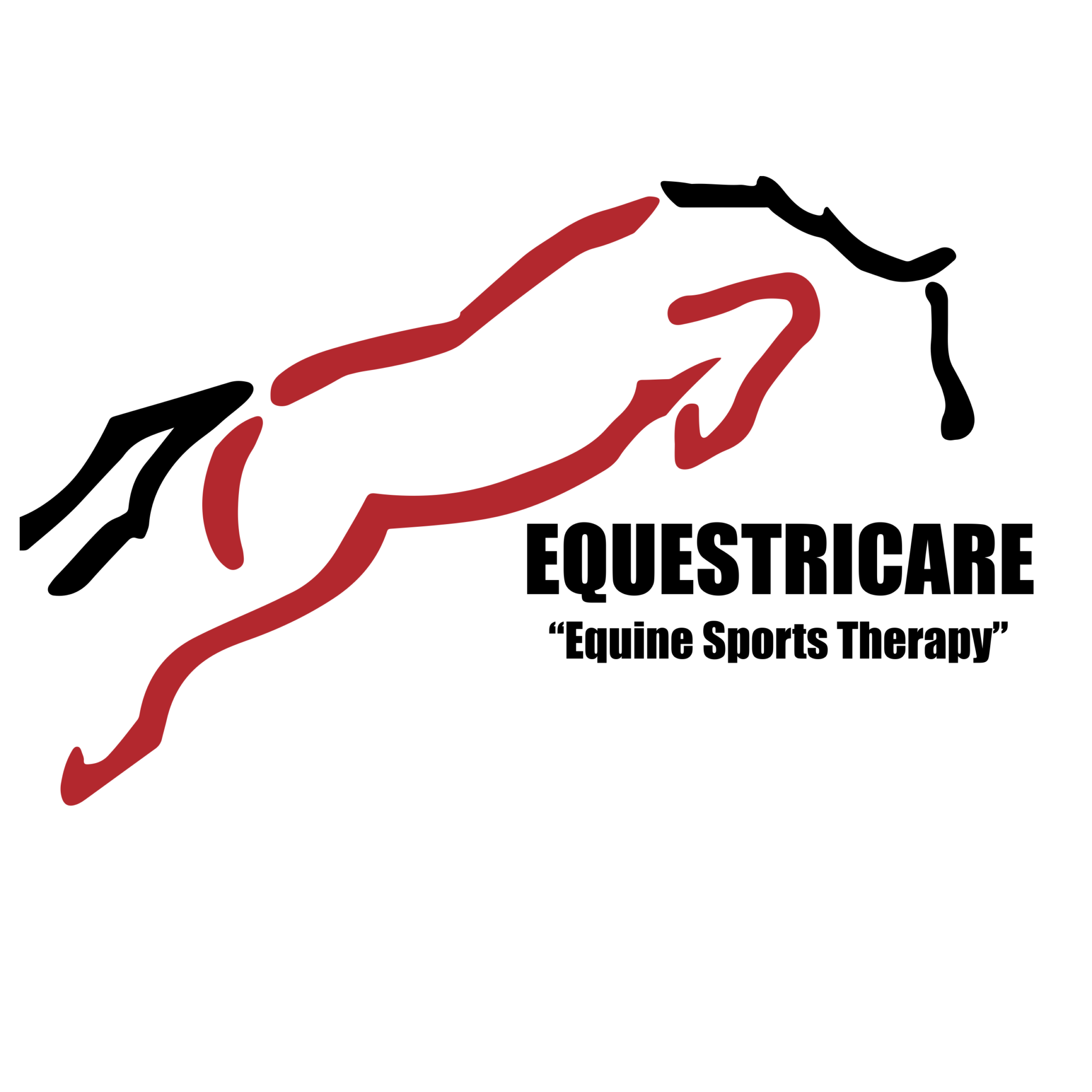 Equestricare Equine Sports Therapy EQUITANA Melbourne