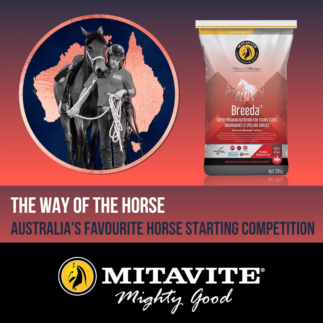 Mitavite Breeda Nourishes The Equine Stars Of TWOTH EQUITANA Melbourne mitavite-breeda-nourishes-the-equine-stars-of-twoth-equitana-melbourne