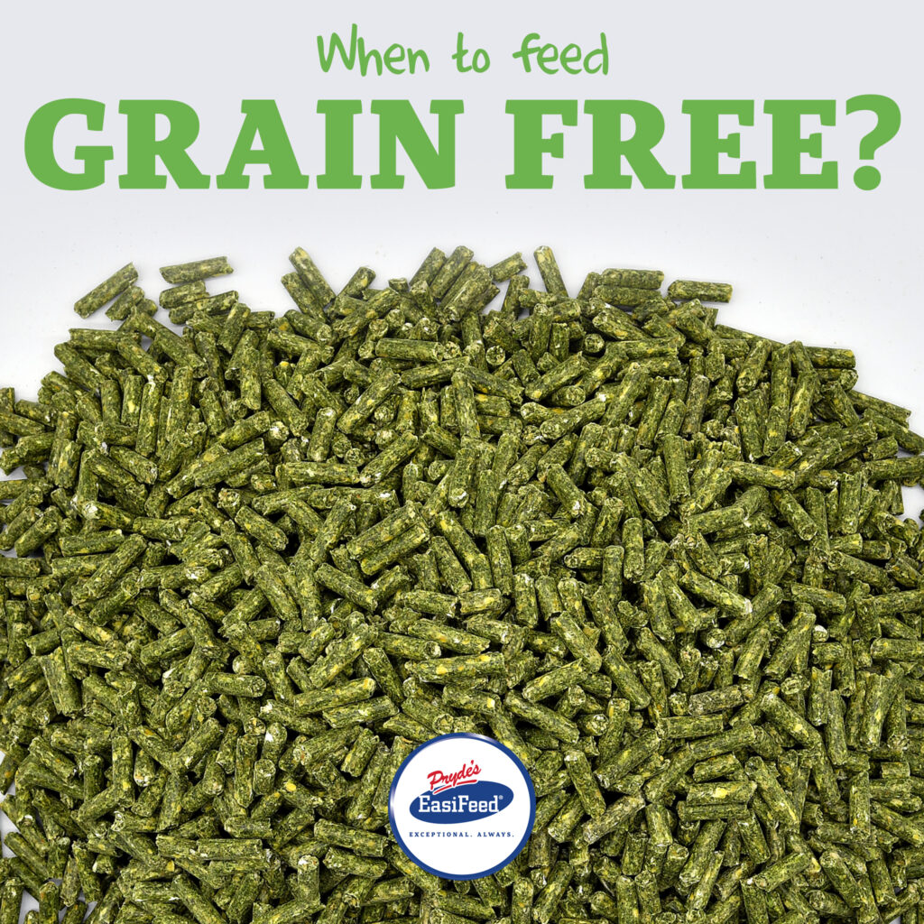 𝗪𝗵𝗲𝗻 𝘁𝗼 𝗳𝗲𝗲𝗱 𝗮 𝗴𝗿𝗮𝗶𝗻 𝗳𝗿𝗲𝗲 𝗳𝗲𝗲𝗱? EQUITANA Melbourne