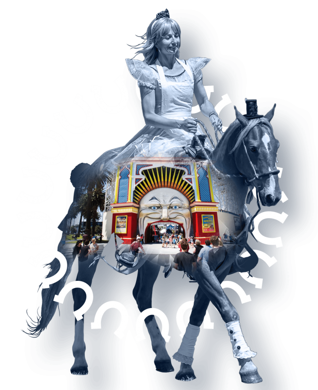 04 – Competition – Brumby 04 - Competition - Brumby