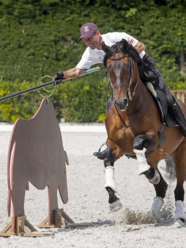 Competition_working_equitation