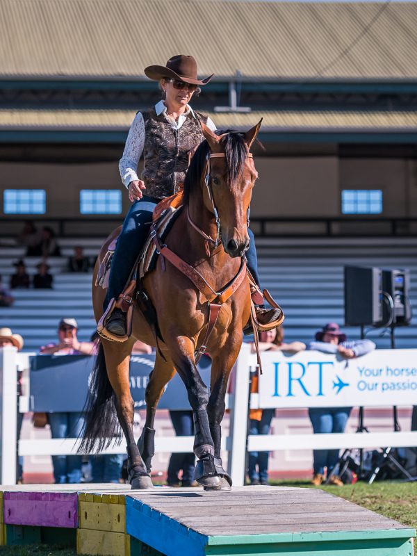 Mastering Equestrian Eventing Challenges: A Rider’s Odyssey