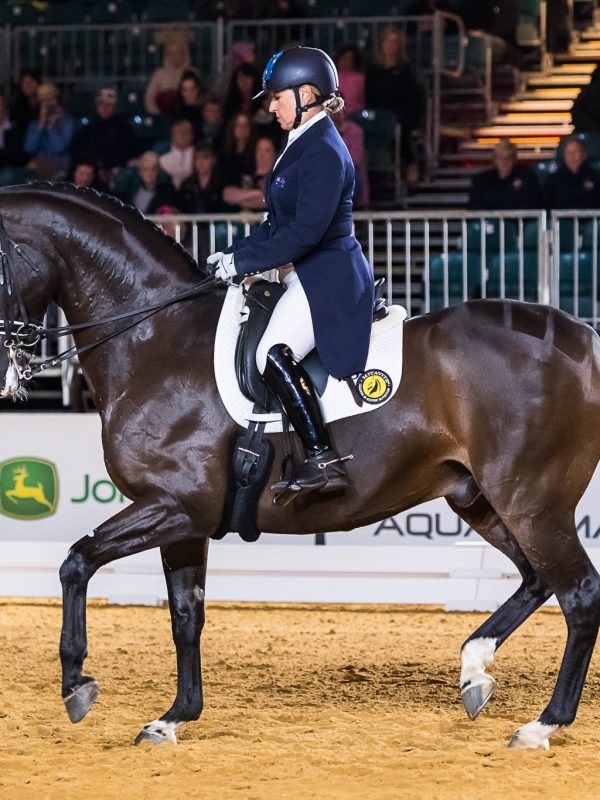 competition_dressage
