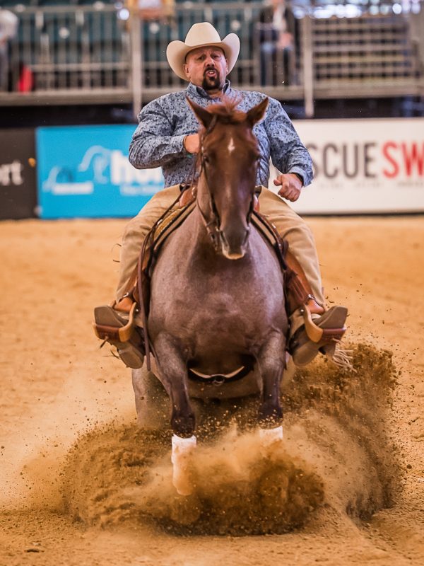 competition_reining