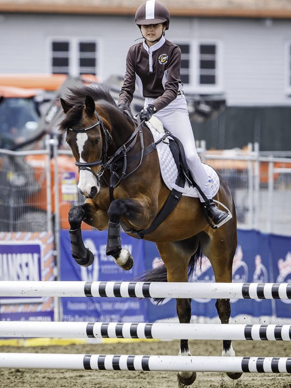 pony club Jemma Brown rides Triple Star Toy Soldier during the NZPCA Team Challenge Jumping. 2019 Equitana Auckland. ASB Showgrounds. Auckland. New Zealand. Sunday 24 November. Copyright Photo: Libby Law Photography